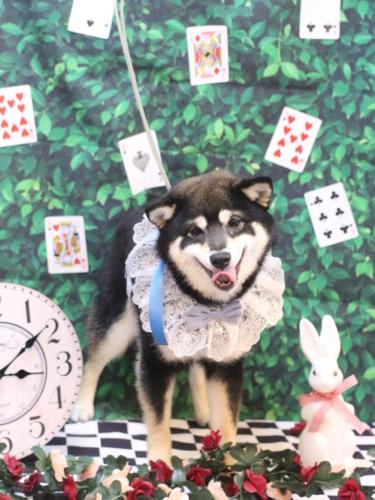 20250405むさしくん